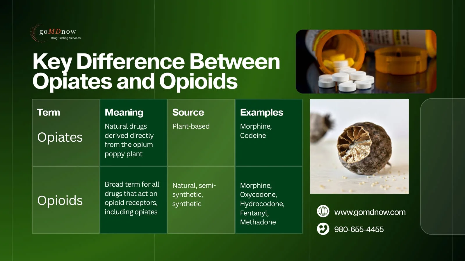 Key Difference Between Opiates and Opioids?