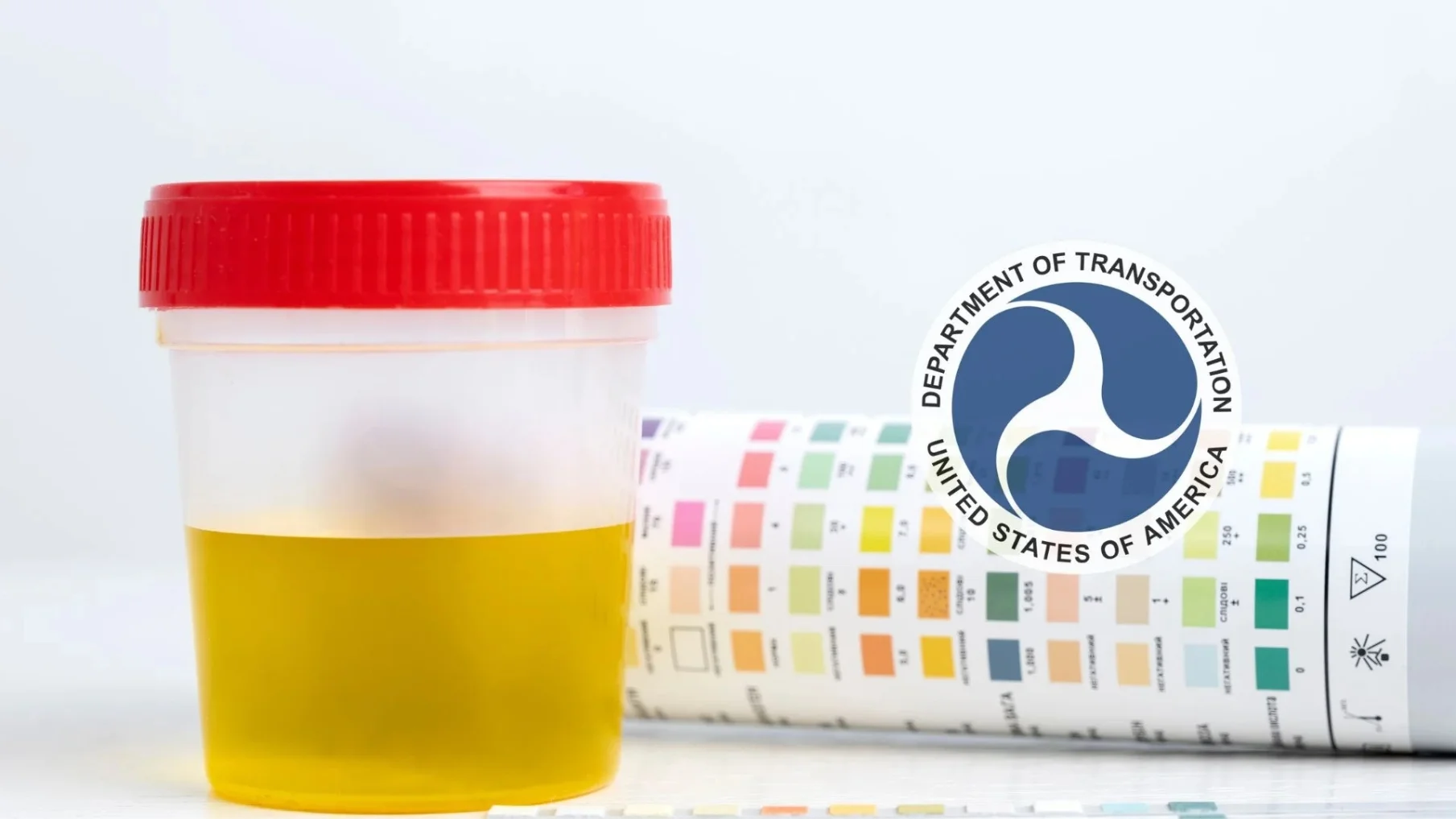 What is the difference between DOT/Non-DOT Drug Testing?